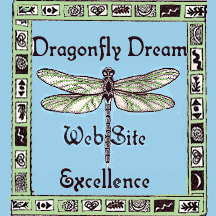 Dragon Fly Dream Web Excellance Award